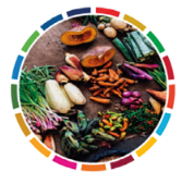 Pozivamo vas na #SDGSummit2020 4 Pozivamo vas na #SDGSummit2020 4 - hrpsor Hrvatski poslovni savjet za održivi razvoj
